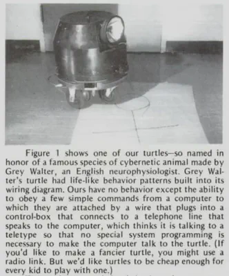 Picture of a floor turtle from the “Twenty Things” article