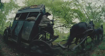 slanting trees, magnification of close objects: hard to ignore!