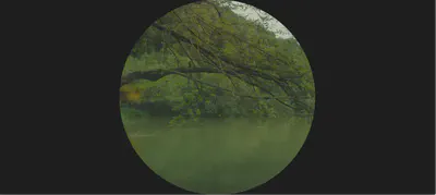 the circular frame is accentuated by…