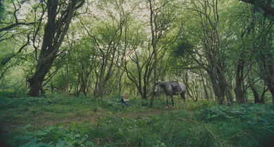 This also looks like 10mm